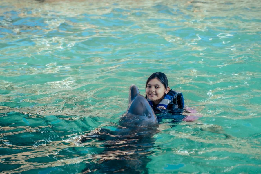 Niña interactuando con delfín en el acuario rodadero